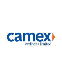 Camex logo